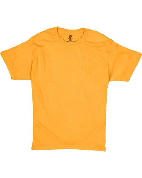 Hanes 5170 Ecosmart T-Shirt