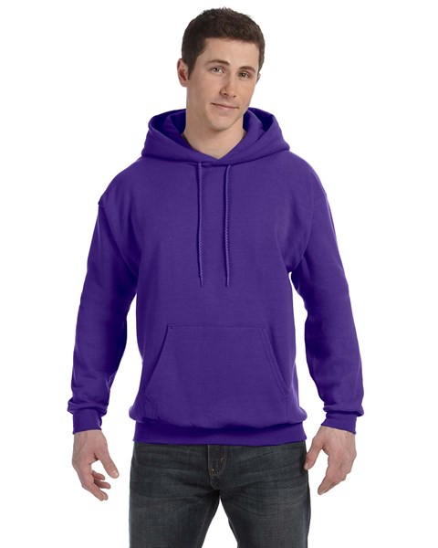 Hanes P170 Ecosmart Hooded Hoodie Sweatshirt