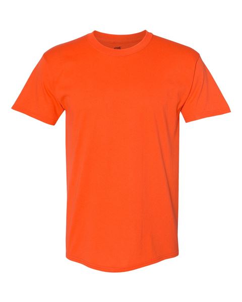 Hanes 5170 Ecosmart T-Shirt