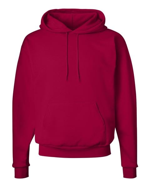 Hanes P170 Ecosmart Hooded Hoodie Sweatshirt