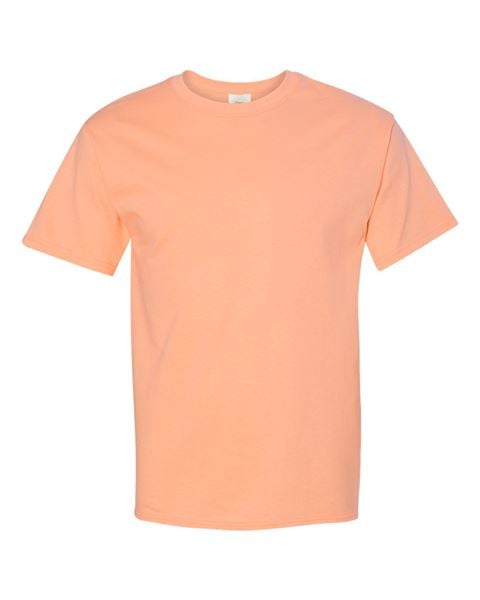 Hanes 5250 Authentic Short Sleeve T-Shirt